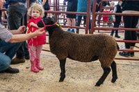 9 Sadie Laurie First Prize Class 1 Longtown Mart Young Handlers sponsored by Farmers Guardian - 8th August 2024